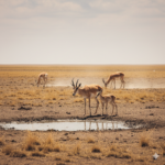 Gemini_Generated_Image_xnqoalxnqoalxnqo